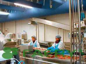 法布瑞克机械产品概览与法律注意事项